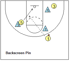 back-screen and pin