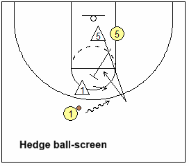 hedge ball-screen